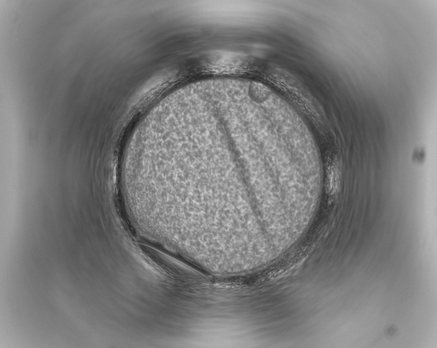 X0000093580733200711121100