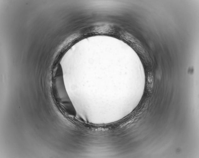 X0000093580734200711121100