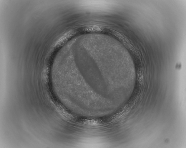 X0000093580735200711121100