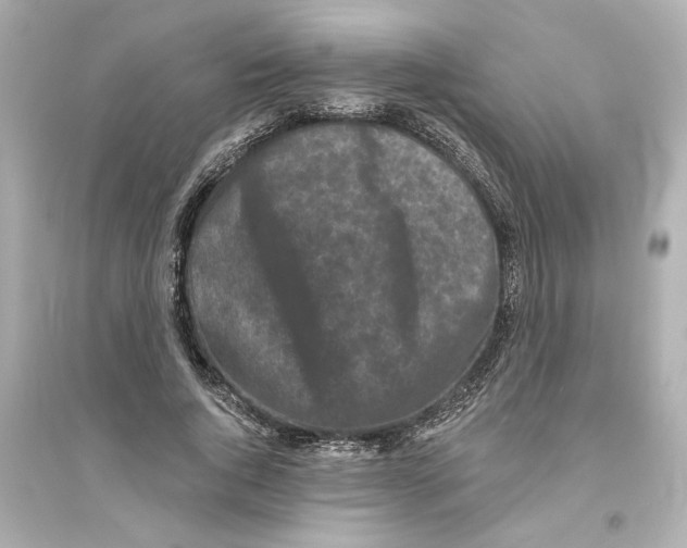 X0000093580736200711121100