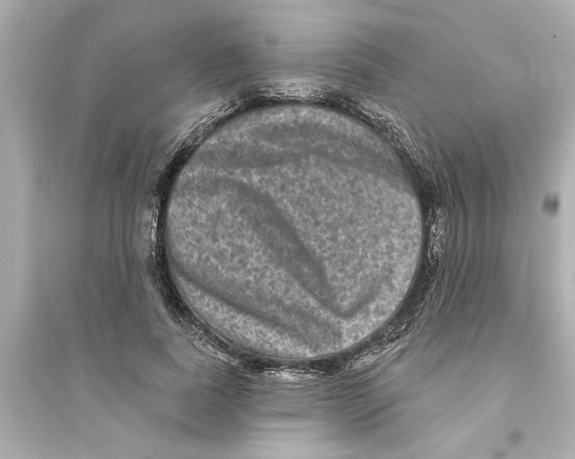 X0000093580739200711121100