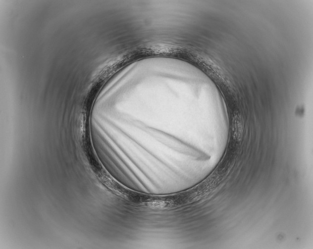 X0000093580740200711121100