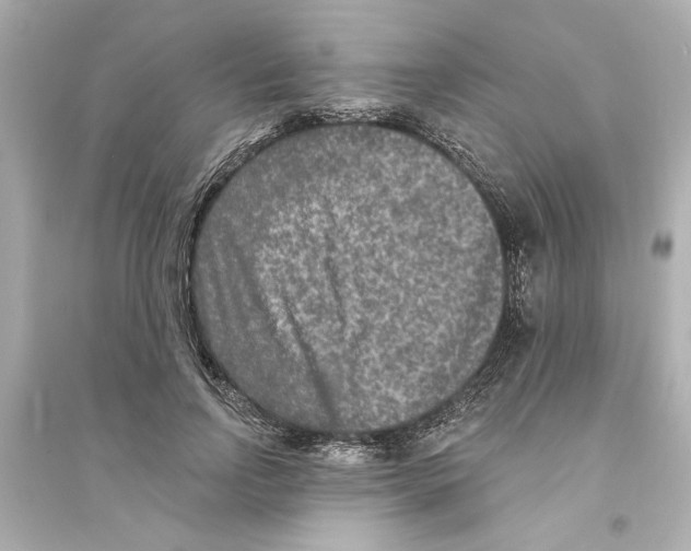 X0000093580742200711121100