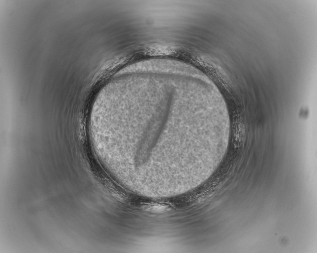 X0000093580743200711121100