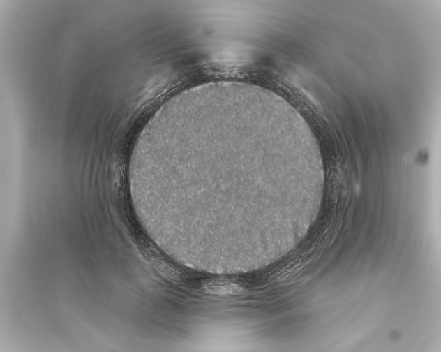 X0000093580747200711121100