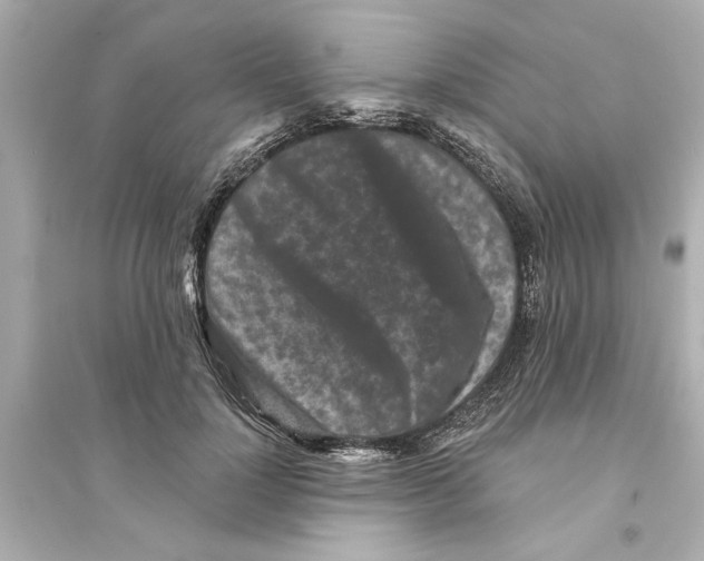 X0000093580748200711121100