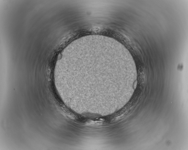 X0000093580750200711121100