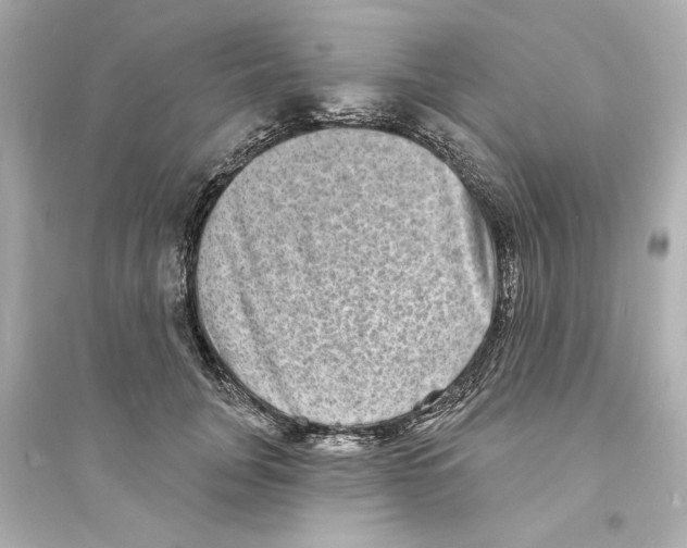 X0000093580751200711121100