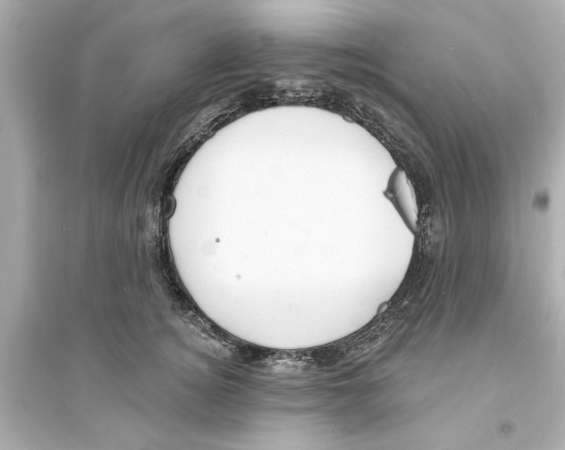 X0000093580756200711121101