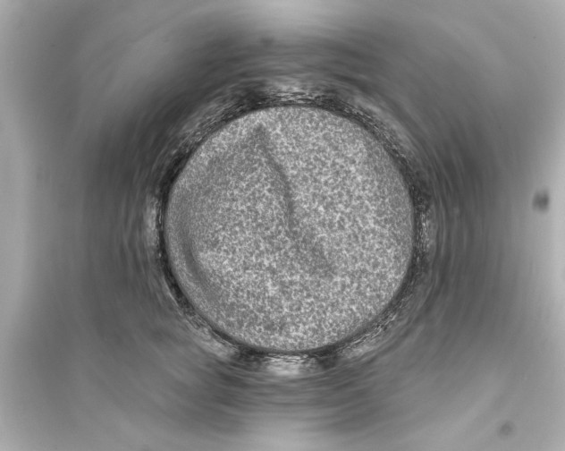 X0000093580757200711121101