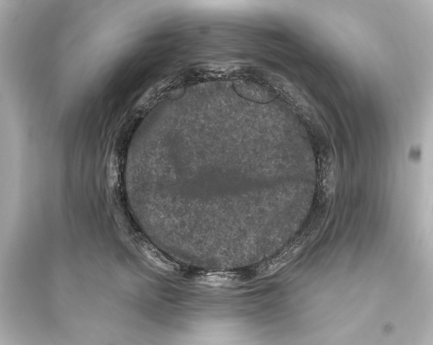 X0000093580758200711121101