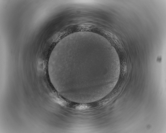 X0000093580759200711121101