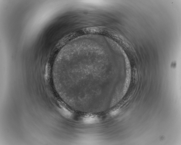 X0000093580760200711121101