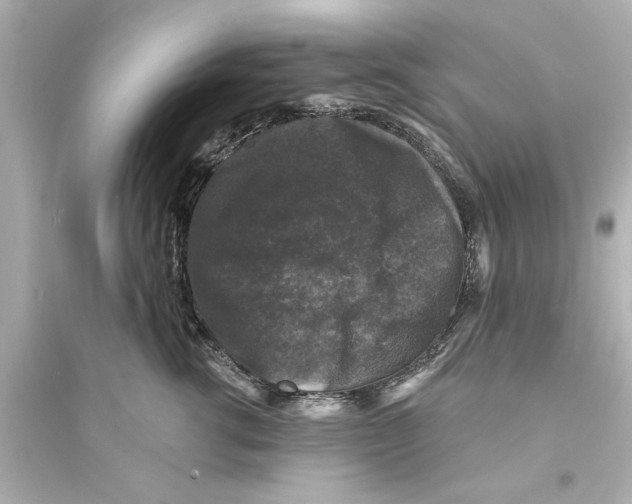 X0000093580762200711121101