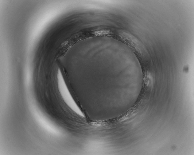 X0000093580763200711121101