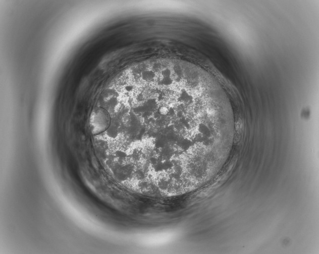 X0000093580765200711121101