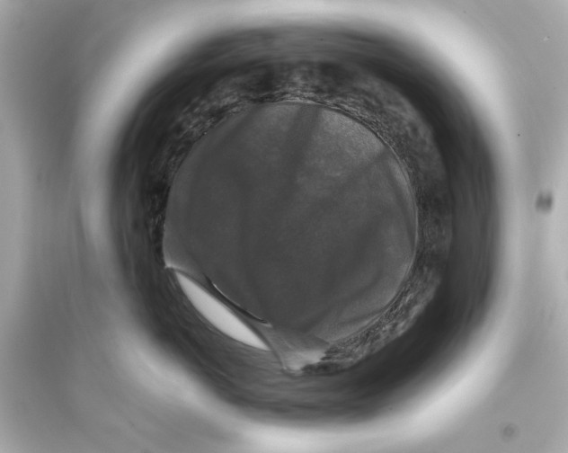 X0000093580766200711121101