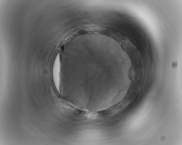 X0000093580767200711121101