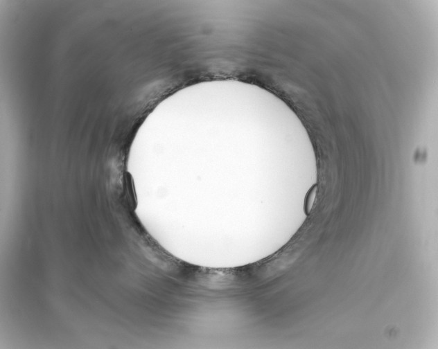 X0000093580768200711121101