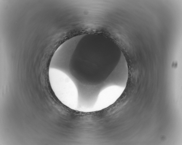 X0000093580769200711121100