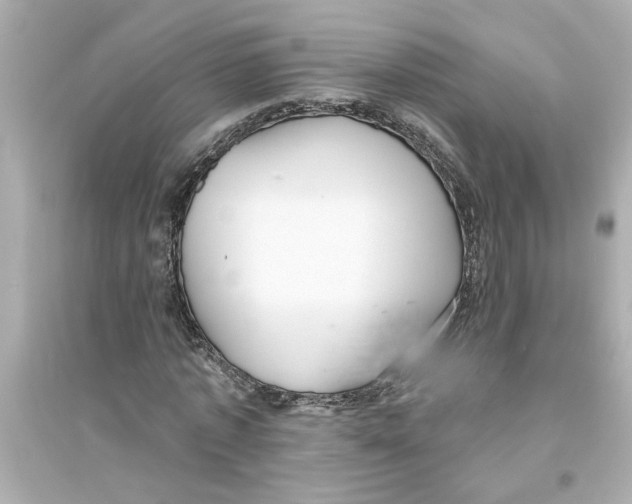 X0000093580773200711121100