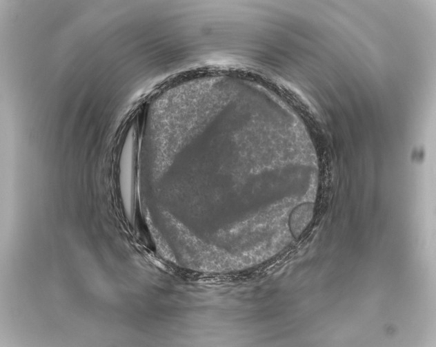 X0000093580776200711121100