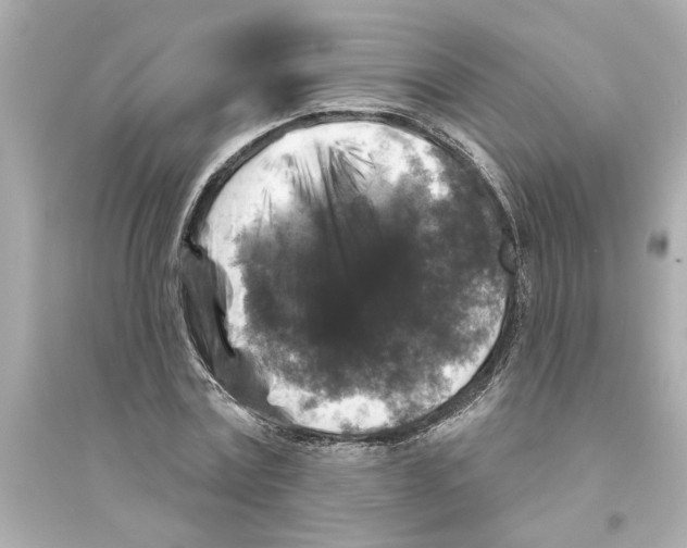 X0000093580779200711121100