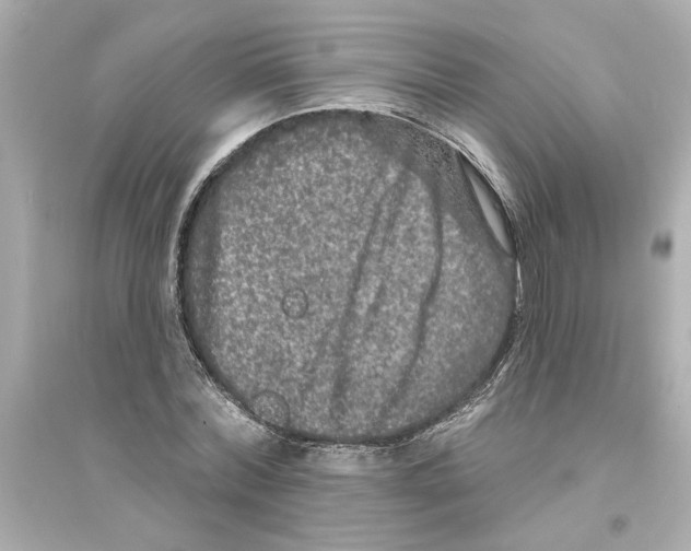 X0000093580780200711121100