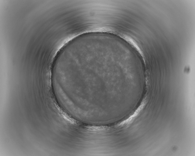 X0000093580781200711121100