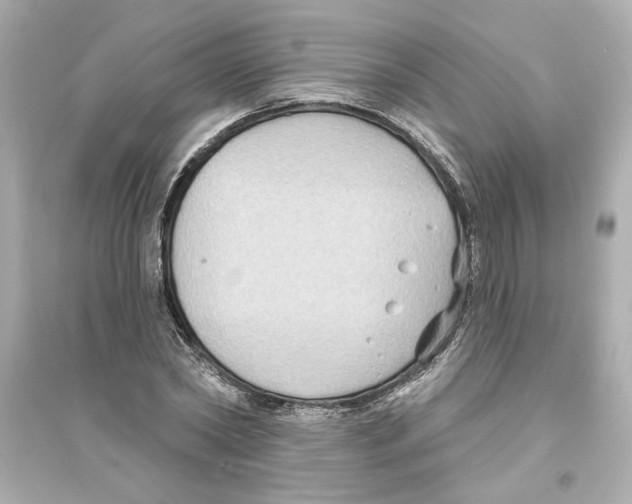 X0000093580782200711121100