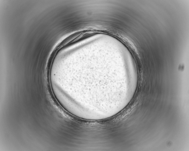 X0000093580784200711121100