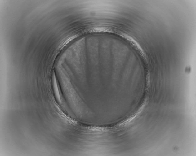 X0000093580785200711121100