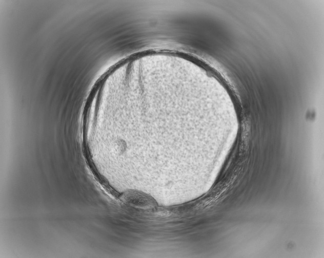 X0000093580791200711121100