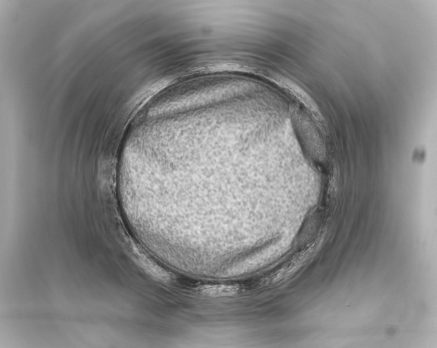 X0000093580793200711121100