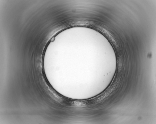 X0000093580794200711121059