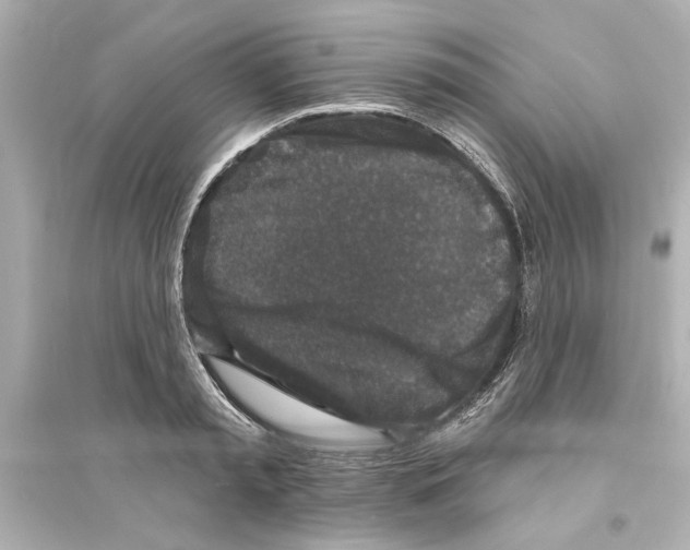 X0000093580797200711121059