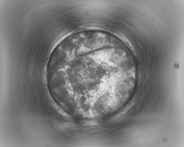 X0000093580798200711121059