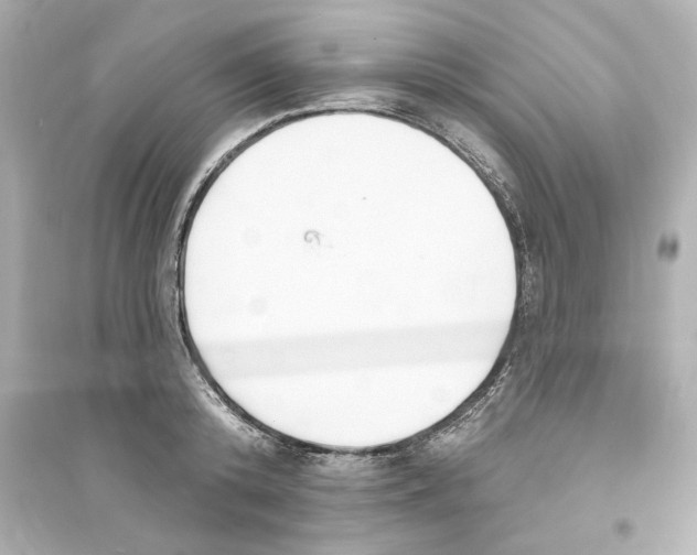 X0000093580800200711121059