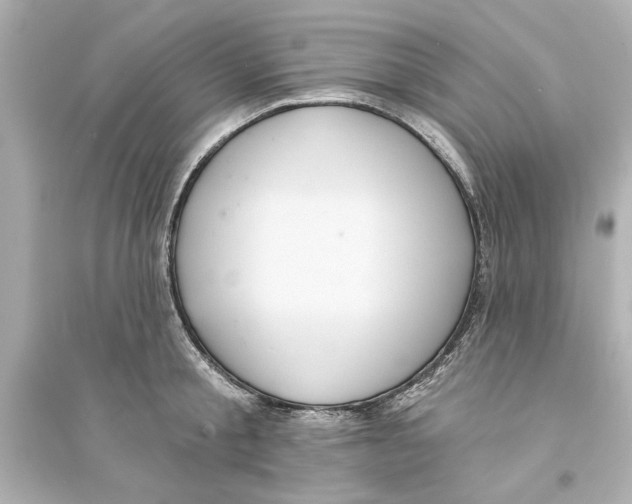 X0000093580805200711121059