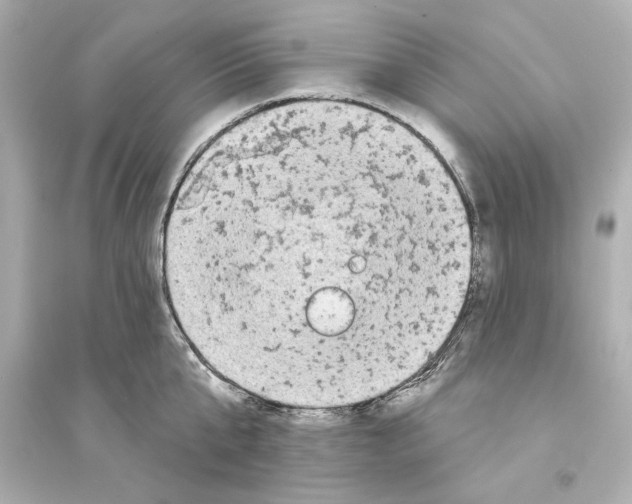 X0000093580807200711121059