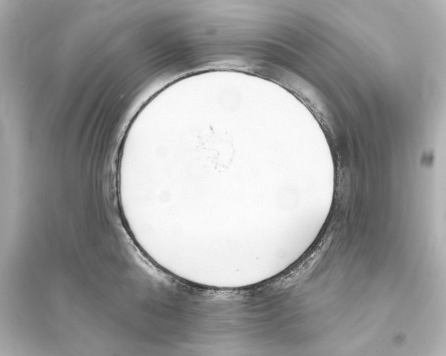 X0000093580808200711121059