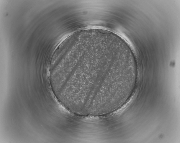 X0000093580809200711121059