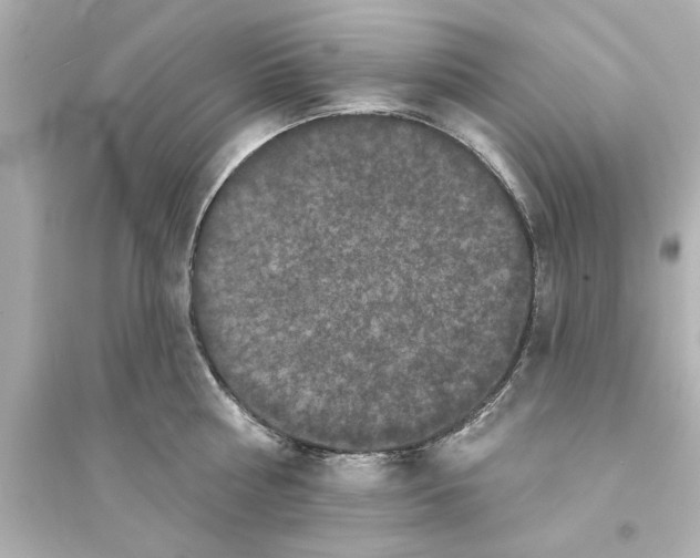 X0000093580810200711121059