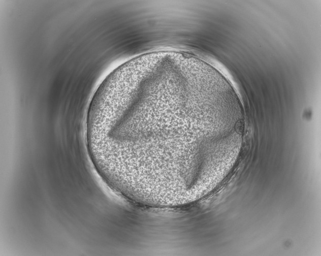 X0000093580811200711121059