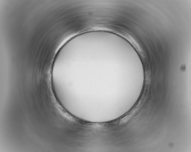 X0000093580814200711121059