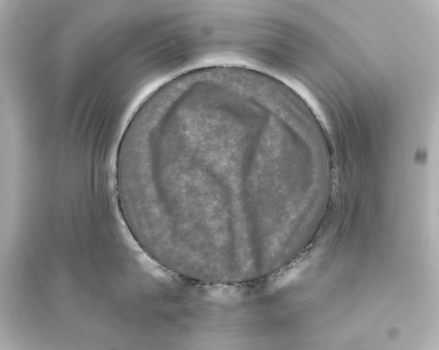 X0000093580815200711121059