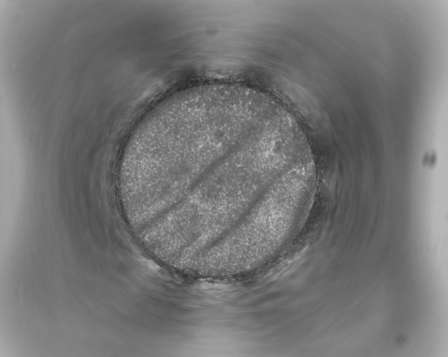 X0000093580817200711121058