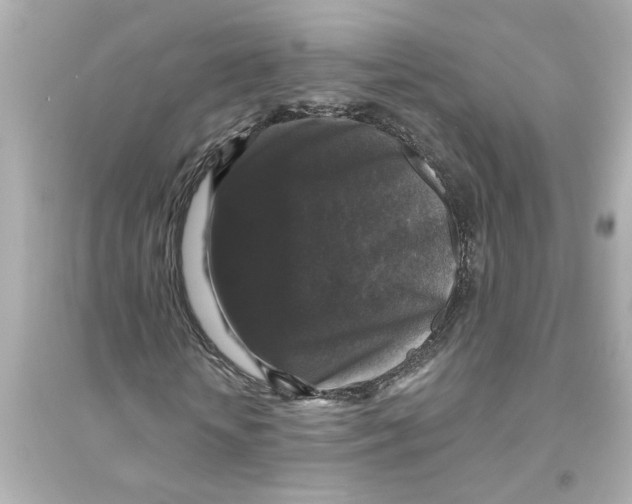 X0000093580818200711121058