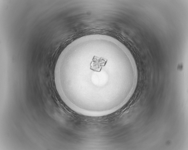 X0000093580820200711121058