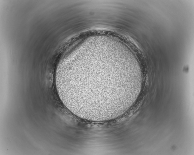 X0000093580821200711121058